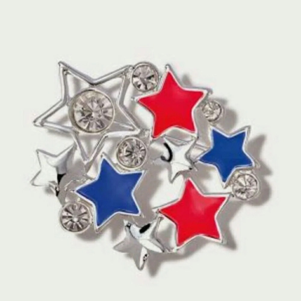 Lady Liberty Star Pin Brooch